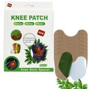 Set mit 10 Pflastern mit Pflanzenextrakten für Knie, Rücken, Nacken und Schultern – zur äußerlichen Anwendung