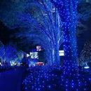 Lichterkette auf Rolle 100 m LED Blau | 500 helle LEDs | 8 Lichtmodi | IP44