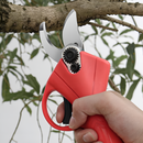 Elektrische Gartenschere für Reben und Äste, mit 2 Akkus 24V