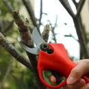 Elektrische Gartenschere für Reben und Äste, mit 2 Akkus 24V