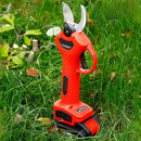 Elektrische Gartenschere für Reben und Äste, mit 2 Akkus 24V